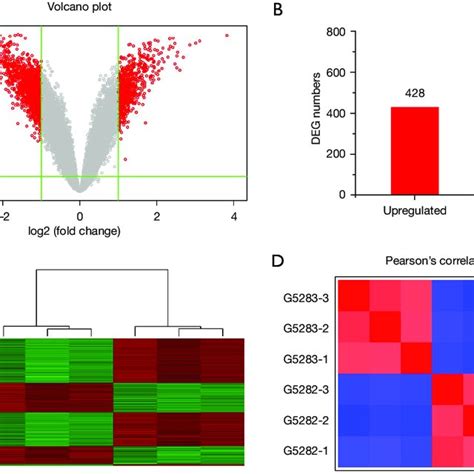Image result for GeneChip Microarray
