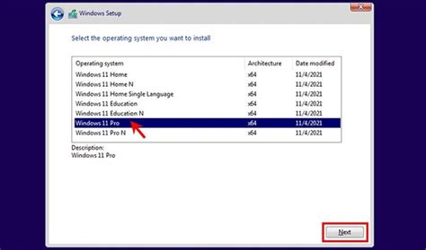 Image result for Windows 11 Setup without TPM 2.0