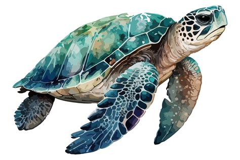 Image result for Vector Graphics Sea Turtle