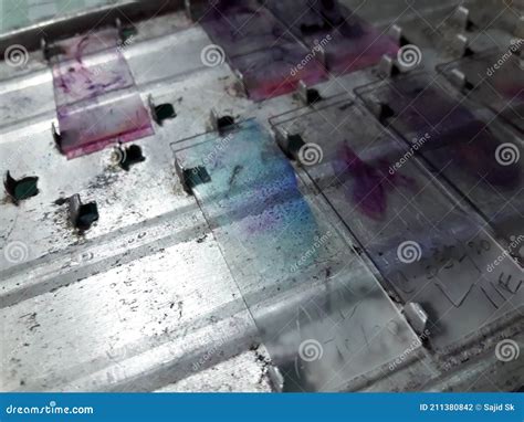 Acid-Fast Bacilli Slide Control に対する画像結果