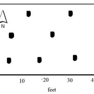 Simple Random Sampling of Soil に対する画像結果
