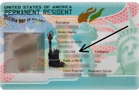 Image result for EAD Card Alien Registration Number