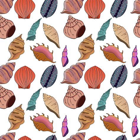 Sea Shell Pattern Drawing に対する画像結果