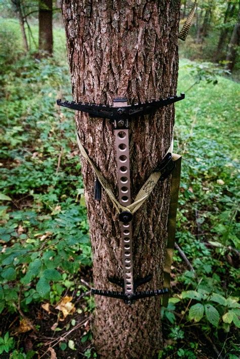 Afbeeldingsresultaten voor Best Climbing Sticks