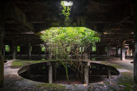 Factory That Is Tree に対する画像結果