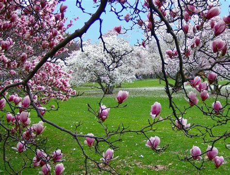 Image result for Spring Scenes Photography