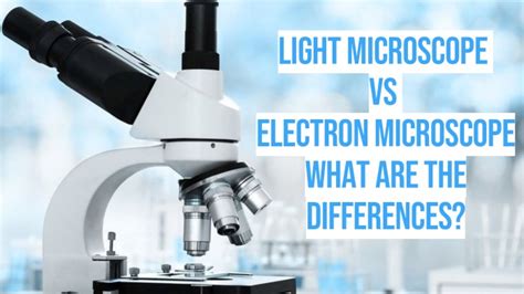Toradh íomhá ar Light Microscope vs Electron Microscope