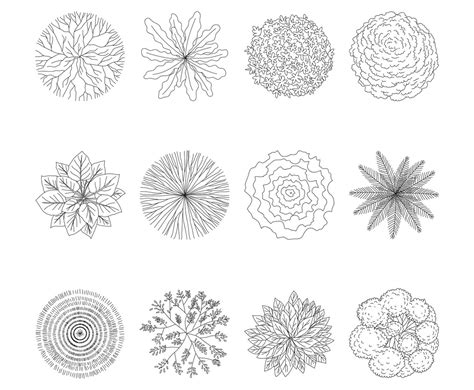 Image result for Tree Plan View Design