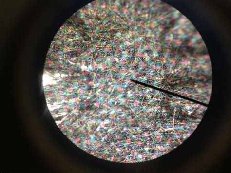 Image result for Microscope Side of Paper