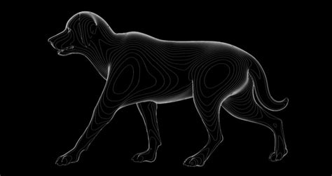 Image result for Motion Cam Winkels