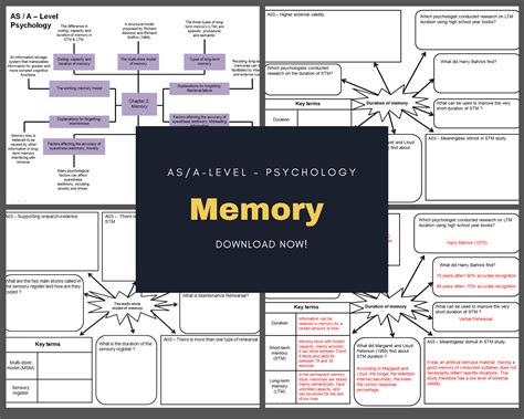 Image result for Memory Mind Map