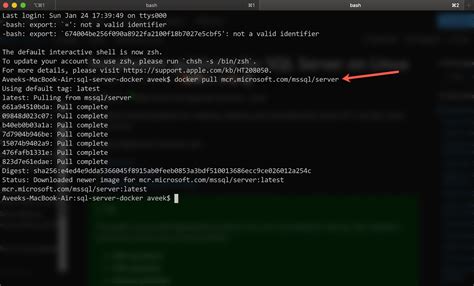 Running SQL Server in Docker Container Diagram に対する画像結果