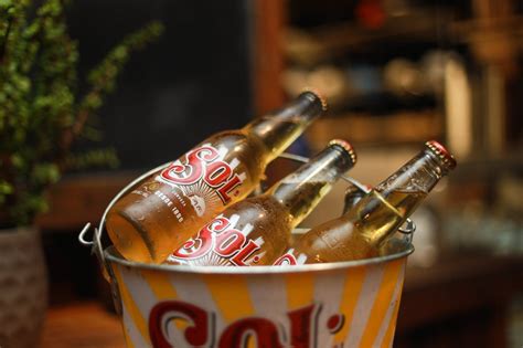 Drop and Delete Query in SQL에 대한 이미지 결과