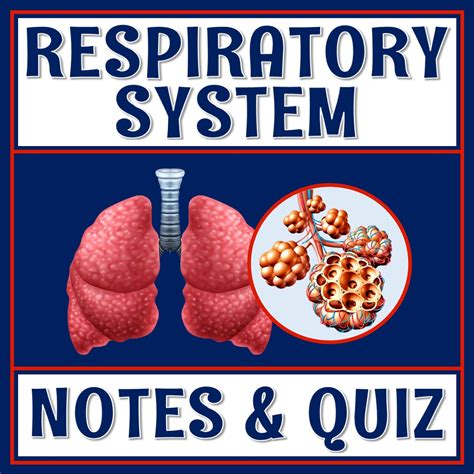 Afbeeldingsresultaten voor Respiratory System Notes PDF