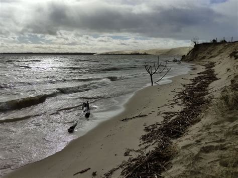 Litouwse Nida に対する画像結果