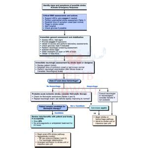 Afbeeldingsresultaten voor Adult Stroke Algorithm