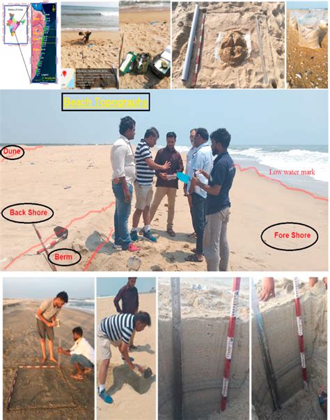 Composite Sampling at Beach に対する画像結果