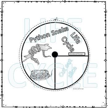 Python Life Cycle Kids に対する画像結果