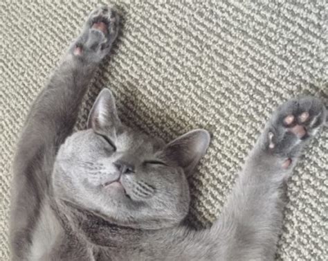 Image result for Arduino IDE 講座