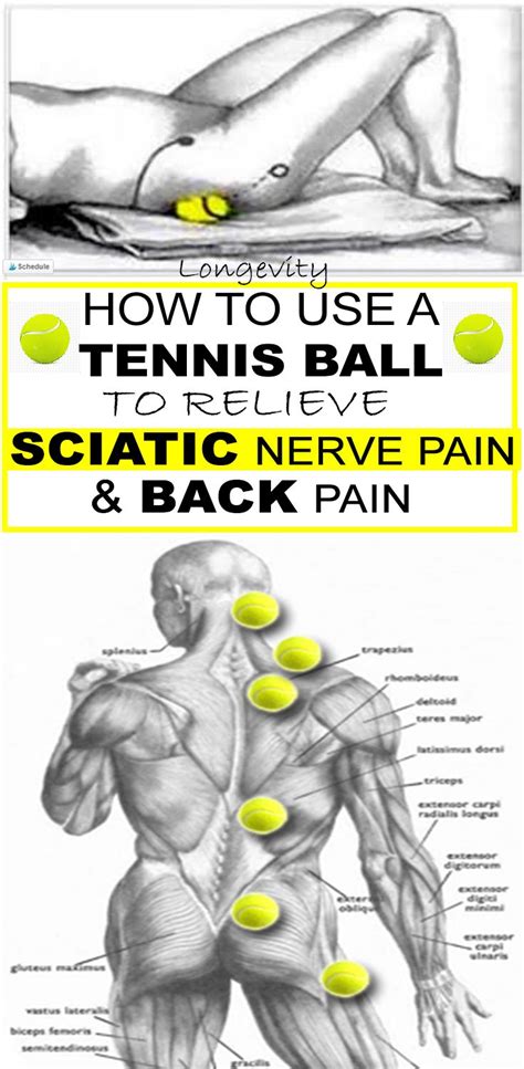 Exercises for Lower Back Pain Using Ball に対する画像結果