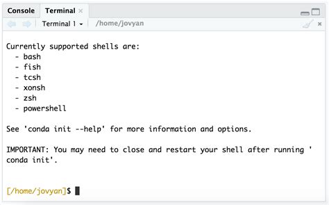 Image result for R Programming Terminal
