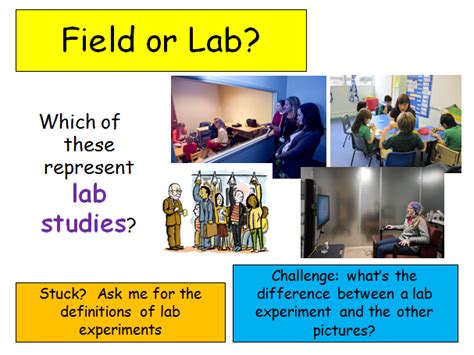 Image result for Lab vs Field Research Examples