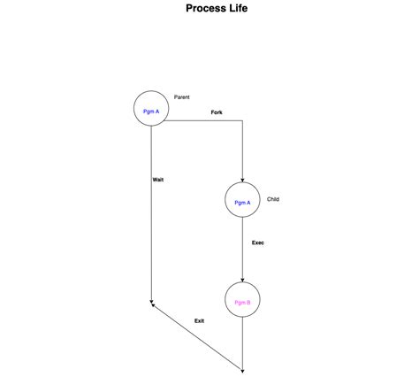 Image result for Linux Process Transition Diagram
