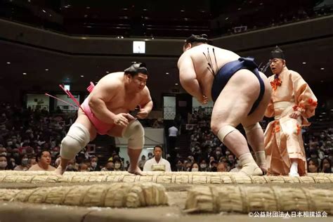 Sumo Java に対する画像結果