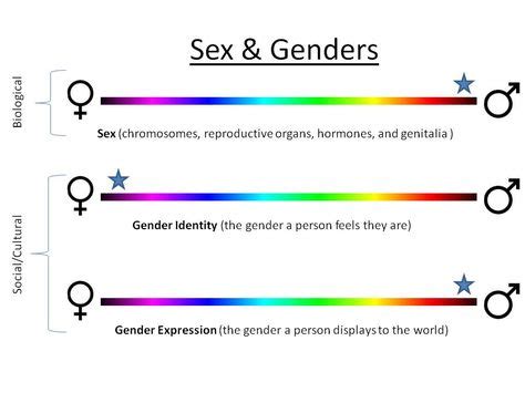 Image result for Gender Spectrum Graphic