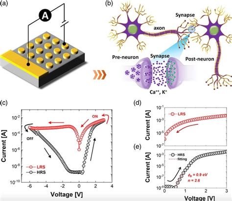 Toradh íomhá ar Short-Term Memory Device