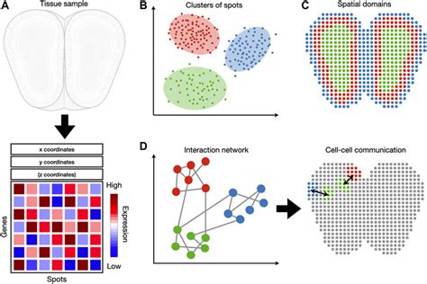 Image result for Transcriptomics Diagram