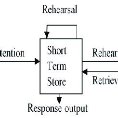 Image result for Multi-Store Memory Model Diagram