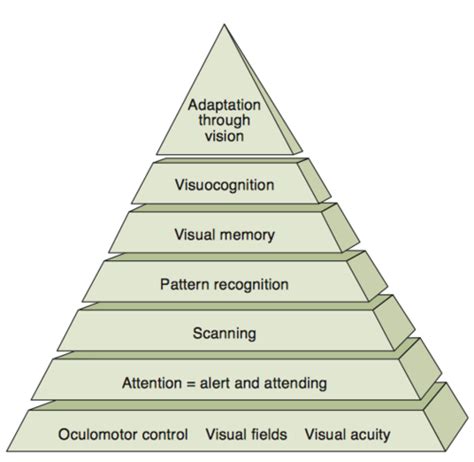 Toradh íomhá ar Primary Visual Processing