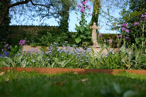 Rust Accelerator に対する画像結果