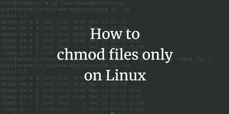 Afbeeldingsresultaten voor Chmod File Perm