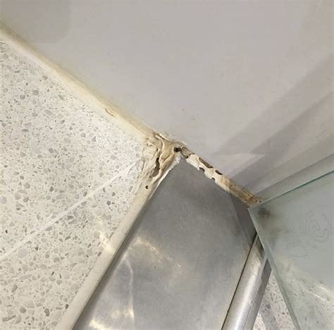 Image result for How to Remove Caulking From Shower