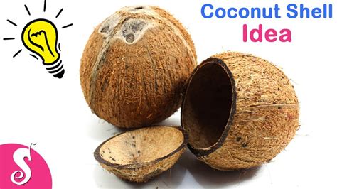 Innovative Coconut Shell に対する画像結果
