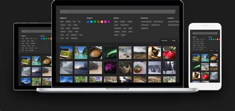 Image result for Collection Photo URL