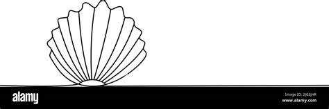 Image result for Shell with Line Design