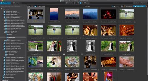 Image result for Best Free Photo Organizer Software