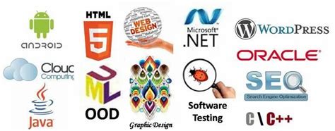 Image result for What Is an It Program
