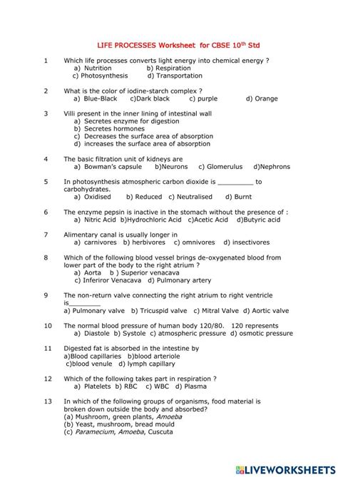 Importance of Life Processes Worksheet എന്നതിനുള്ള ഇമേജ് ഫലം