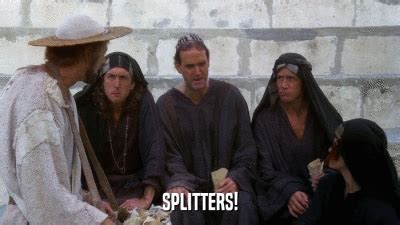 Image result for Monty Python Splitter
