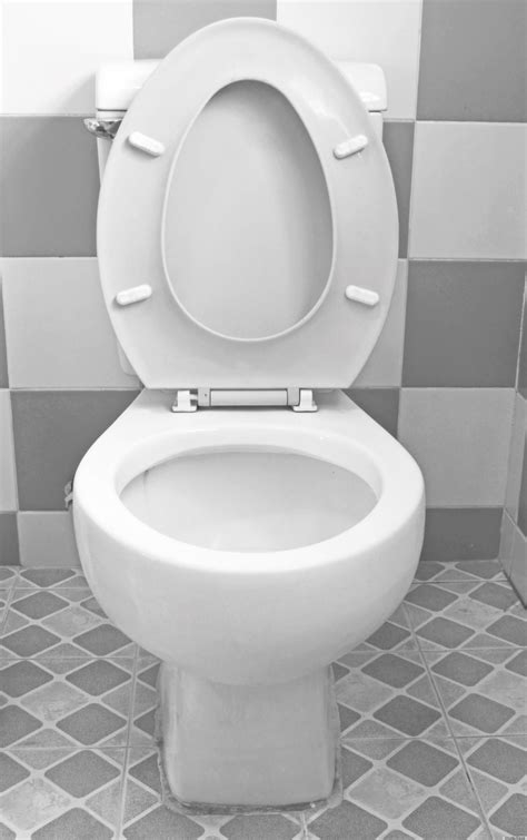Image result for What Is a Toilet Float