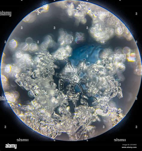 Afbeeldingsresultaten voor Particals in a Snowflake Under a Microscope