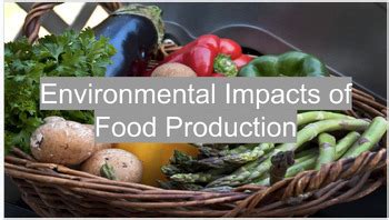 Image result for Food Production and Environment
