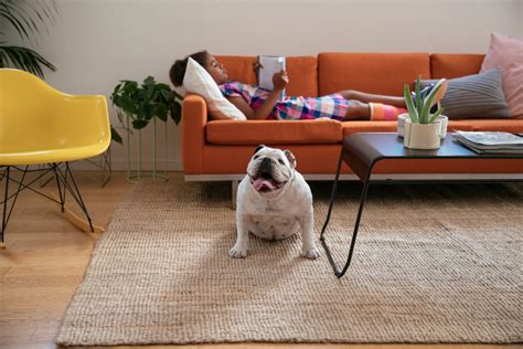 Résultat d’images pour How to Install Vivint Doorbell Camera