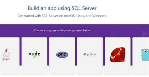 Image result for SQL Apps for Windows