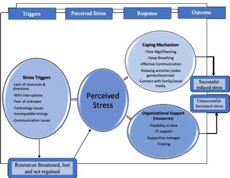 Image result for Basic Stress Model