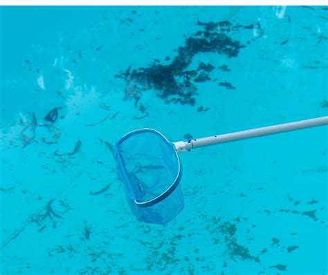 Afbeeldingsresultaten voor How to Clean a Dirty Above Ground Pool